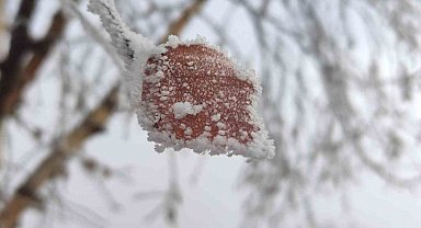 Hava sıcaklığının eksi 14,6 dereceye düştüğü Göle buz tuttu