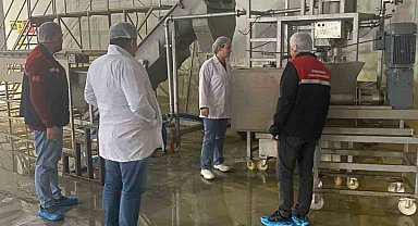 Hayvansal yem üreten işletmeye yönelik denetim