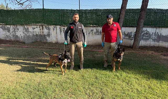 Hector ve Mailo, Batman'da uyuşturucu tacirlerinin korkulu rüyası oldu