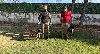 Hector ve Mailo, Batman'da uyuşturucu tacirlerinin korkulu rüyası oldu