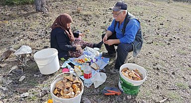 Hisarcık'ta yaşlı çiftin mantar mesaisi