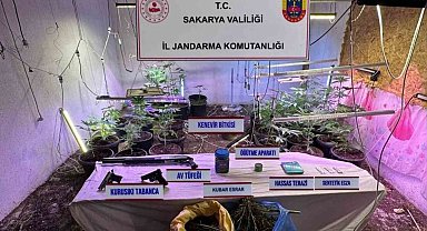 İklimlendirme sistemi ile kapalı ortamda kenevir yetiştiren şahıs tutuklandı