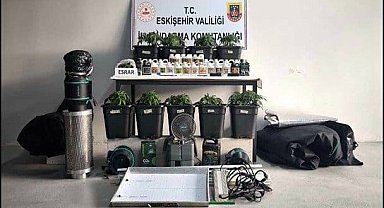 İklimlendirme sistemi kurup kenevir yetiştiren 3 kişi yakalandı