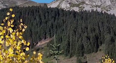 Ilgaz Dağı sonbaharda renk cümbüşü