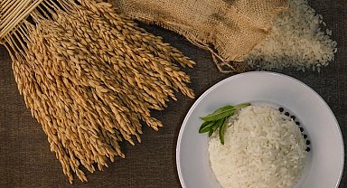 İpsala Pirinci'ne AB tescili... Trakya'nın ilk ve tek AB coğrafi işaretli ürünü