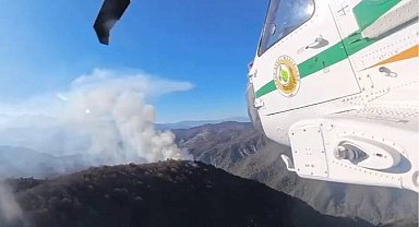 İran'daki orman yangınlarına Türkiye'den destek
