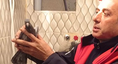 İskenderun'da itfaiye ekiplerinden güvercin kurtarma operasyonu