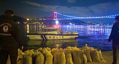 İstanbul'da 2 ton 350 kilogram kaçak midye ele geçirildi