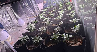 İzmir'de uyuşturucu operasyonunda 1 tutuklama