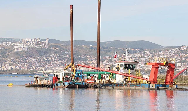 İzmit Körfezi yeniden nefes aldı... Temizlenen körfezde artık yunuslar dans ediyor