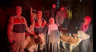Jandarma çalınan hayvanları sahibine teslim etti