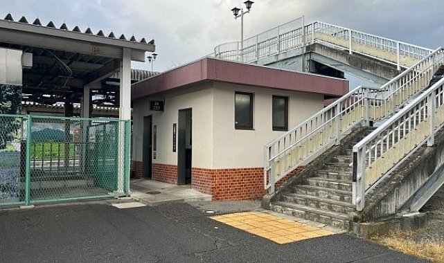 Japonya'da tren istasyonundaki umumi tuvalette ayı saldırısı