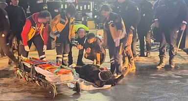 Kaçan sürücü polis aracına çarptı: 2 yaralı