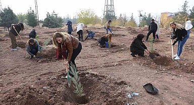 Kadına yönelik şiddete dikkat çekmek amacıyla fidan dikim etkinliği yapıldı