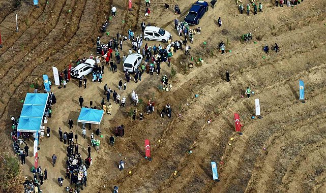 Kahramanmaraş'ta yanan alanlara fidanlar dikildi