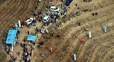 Kahramanmaraş'ta yanan alanlara fidanlar dikildi