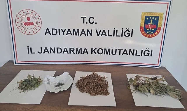 Kahta'da 305 gram kubar esrar ve kenevir ele geçirildi
