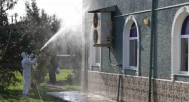 Kahverengi kokarca ile mücadele: 850 hane, 23 kamu alanı ve 623 ahır ilaçlandı