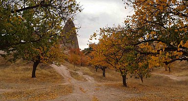 Kapadokya'daki renk cümbüşü dron ile görüntülendi