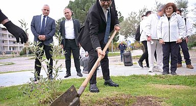 Kar Spor İda Ultra öncesinde zeytin fidanları toprakla buluştu