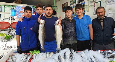 Karadeniz'deki bolluk balık fiyatlarını düşürdü: Kilis'te hamsi 100 liraya indi