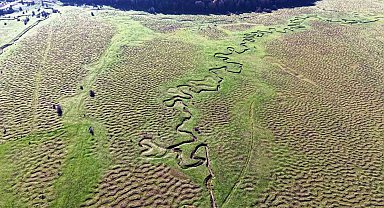 Karagöl Yaylası'nın eşsiz menderesleri havadan görüntülendi