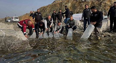 Karakaya Baraj Gölü'ne 420 bin yavru balık bırakıldı