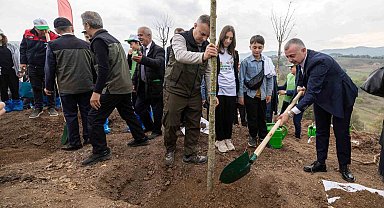 Karamürsel'de yanan bölge 3 bin fidanla yeniden yeşerecek