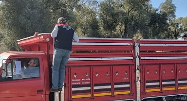 Karpuzlu'da hayvan sevkiyatına denetim