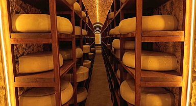 Kars Peynir Müzesi yoğun ilgi görüyor