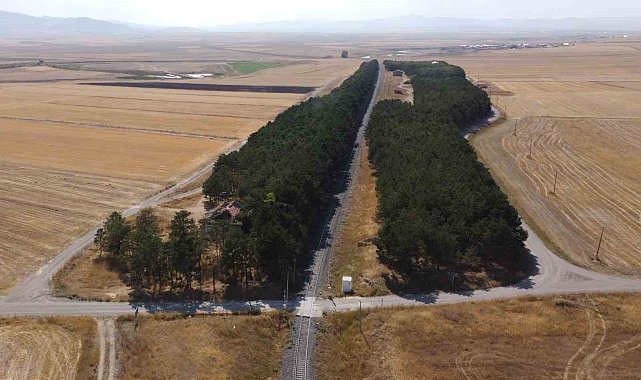 Kars'ta bozkırın ortasındaki vaha havadan görüntülendi