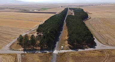 Kars'ta bozkırın ortasındaki vaha havadan görüntülendi