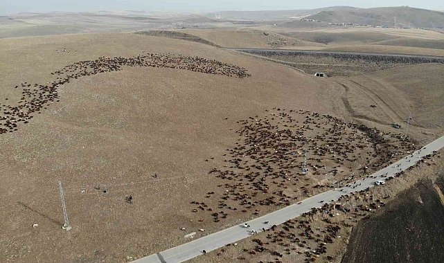 Kars'ta göçerlerin zorlu yolculuğu başladı