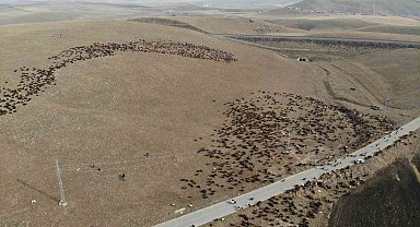 Kars'ta göçerlerin zorlu yolculuğu başladı