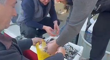 Kasasını 200 liraya alıp, tezgahta kilosunu 200 liraya satan esnaf, balıkçılar tarafından protesto edildi