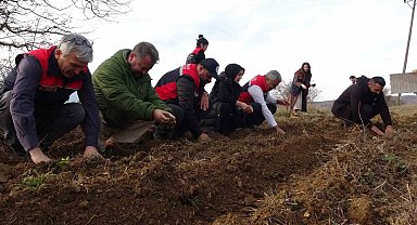 Kastamonu'da kadınlara güç veren proje: 38 bin fide dağıtımı yapıldı