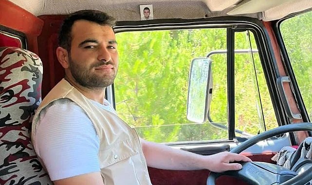 Kastamonu'da üzerine ağaç devrilen şahıs yaralandı