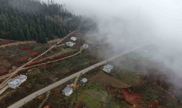 Kastamonu'da Yaralıgöz geçidinde sis nedeniyle görüş mesafesi düştü
