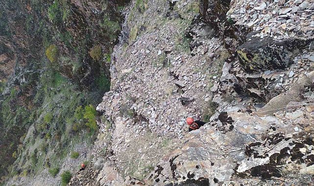 Kayalıklarda mahsur kalan keçiler kurtarıldı
