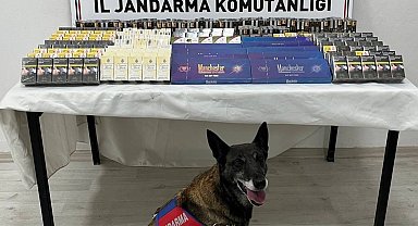 Kayseri'de 500 paket kaçak sigara ele geçirildi