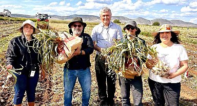 KBÜ, sarımsakta Fusarium hastalıklarına karşı bilimsel çözüm geliştirdi