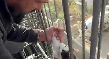 Kedi, dökülen betonun altında kalmaktan son anda kurtarıldı