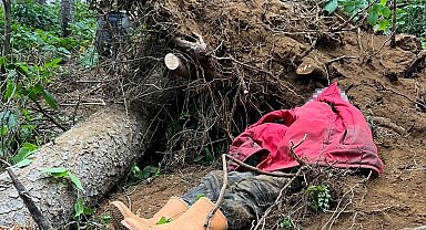 Kestiği ağacın altında kalan bir kişi hayatını kaybetti