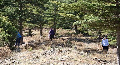 Kilosu etle yarışıyor: Japonların gözdesi sedir mantarı çıktı