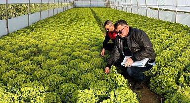 Kırklareli'nde sera denetimleri