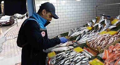 Kırklareli'nde su ürünleri denetimi