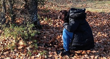 Kırklareli'nde süne ile mücadele hamlesi: Sonbahar Kışlak Sürveyleri çalışmalarına başladı