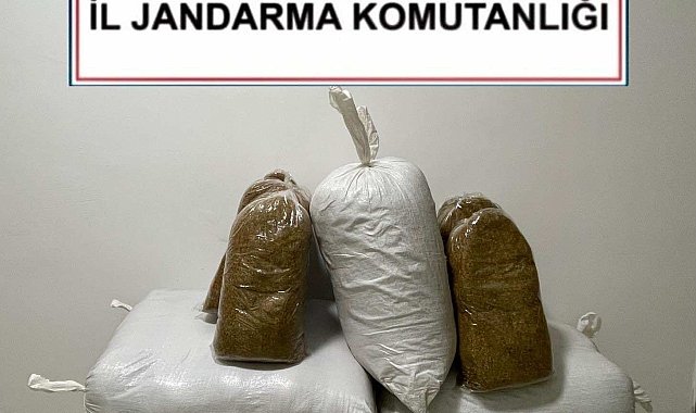 Kırşehir'de jandarmadan kaçak tütün operasyonu