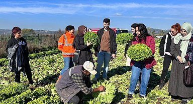 Kocaeli Büyükşehir'den aday çiftçilere uygulamalı tarım eğitimi