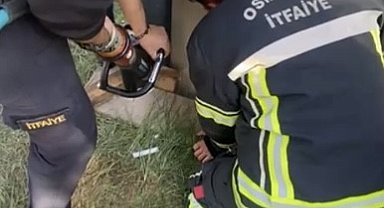 Konteyner ile duvar arasına sıkışan yavru kedi kurtarıldı